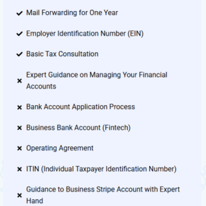 USA BASIC LLC FORMATION